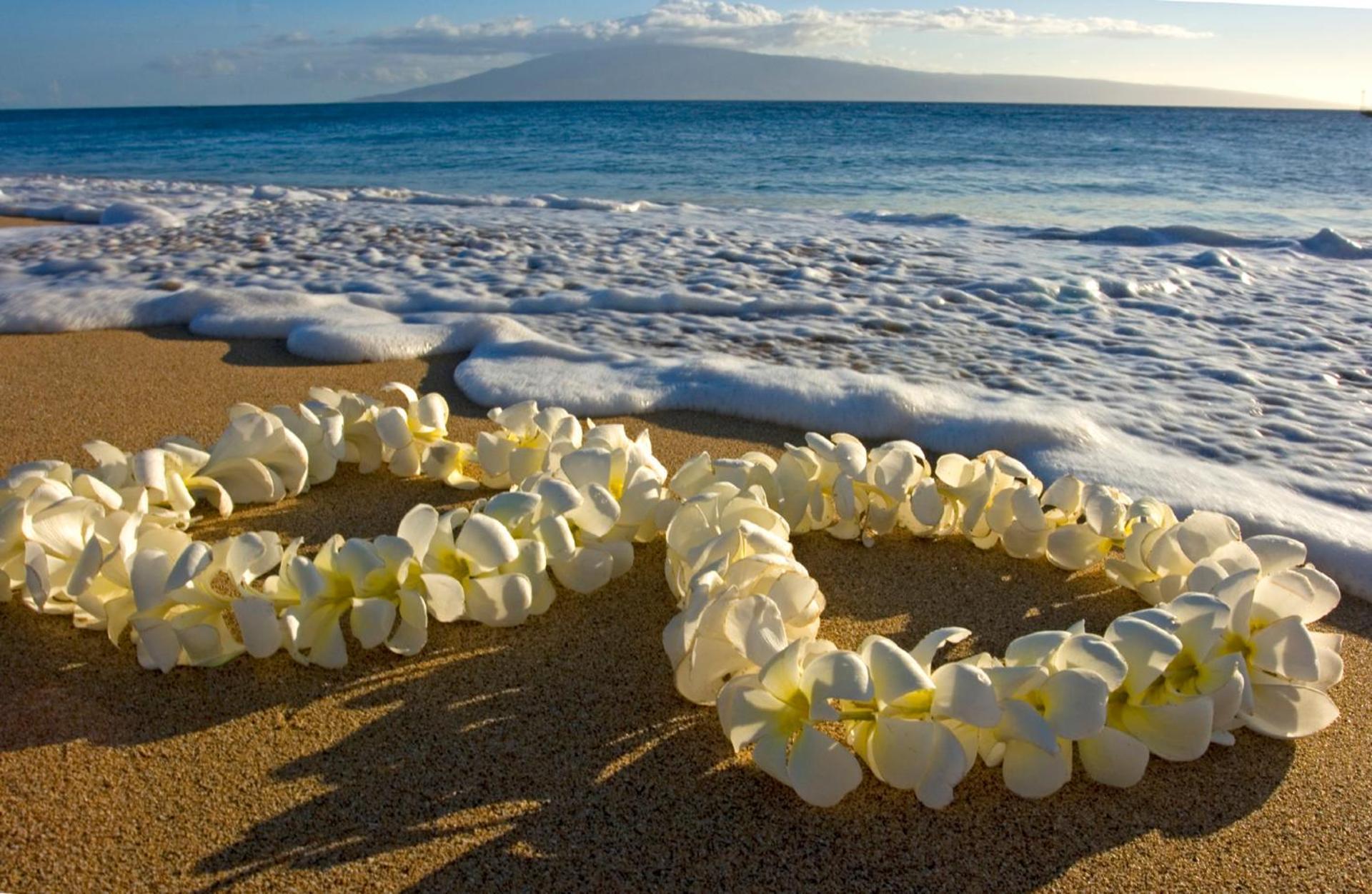 Waikiki Sunset Mountain View Near Beach With Parking โฮโนลูลู ภายนอก รูปภาพ